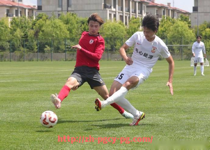 pg电子在线官网-英超俱乐部购买二流球员的策略与效果分析